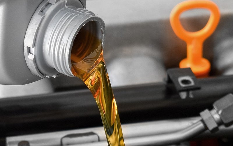 BOGO Oil Change